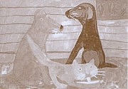 Никита Бусарев, 12 лет. «Собаки и кот»