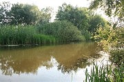Цветущая вода