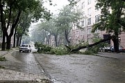 Фото Олега Владимирского