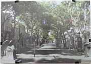 Работа Зои Сокол