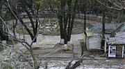 Так «Аркадия» выглядит сейчас