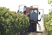 Новый комбайн заменяет работу ста человек