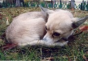 «Холодно!» — Полина Матвиенко, г. Балта