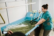 Для каждого отдыхающего ванны тщательно готовят опытные медсестры