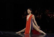 Елена Добрянская