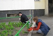 Старательно трудятся на «предвыборном» субботнике в родном дворе Татьяна Овсянникова и Сергей Харькавый